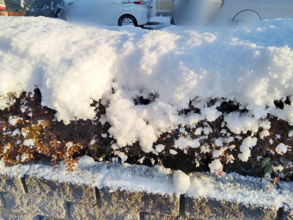 雪と凍結・備えについて考える～千葉県・八千代・障害者・就職・求人～